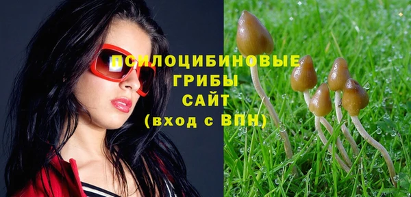 кокаин премиум Дмитровск