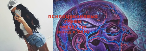 дурь Дмитров