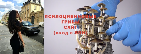 Альфа ПВП Гусев
