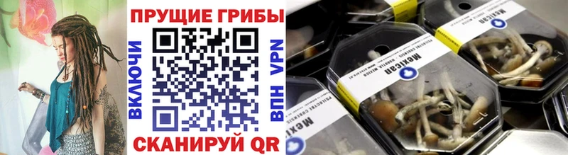 Псилоцибиновые грибы мицелий  мориарти как зайти  Егорьевск  blacksprut сайт 