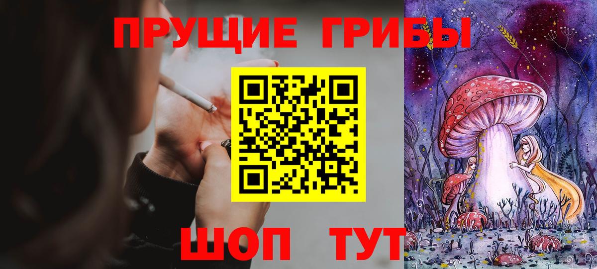 Галлюциногенные грибы Cubensis  Вход с VPN  Егорьевск 