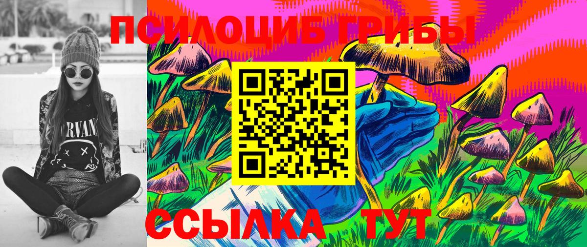 Псилоцибиновые грибы Psilocybine cubensis Егорьевск