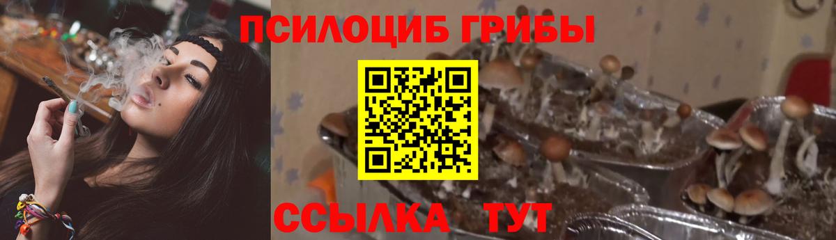 Гашиш  ГАШИШ  MDMA  Вход с VPN  Егорьевск  Метамфетамин  Канабис  МЕФ  